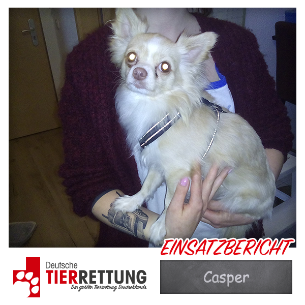 Tierrettung Einsatz: Casper in Gelsenkirchen