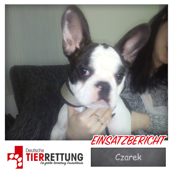 Tierrettung Einsatz: Czarek in Dortmund