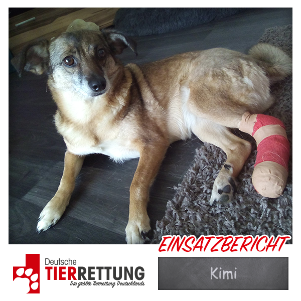 Tierrettung Einsatz: Kimi in Moers