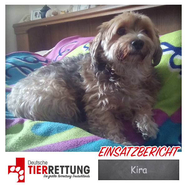 Tierrettung Einsatz: Kira in Gelsenkirchen