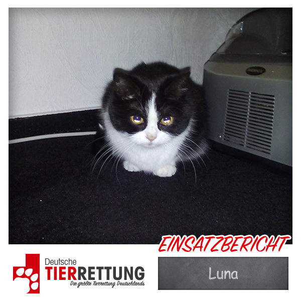 Tierrettung Einsatz: Luna in Essen