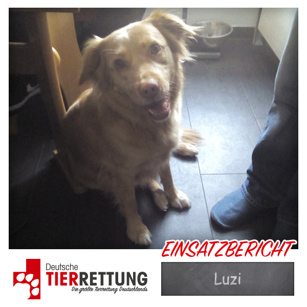 Tierrettung Einsatz: Luzi in Duisburg