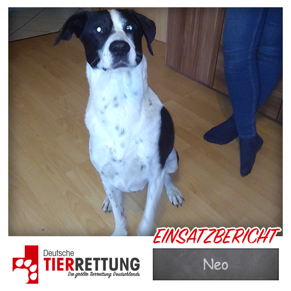Tierrettung Einsatz: Neo in Lünen