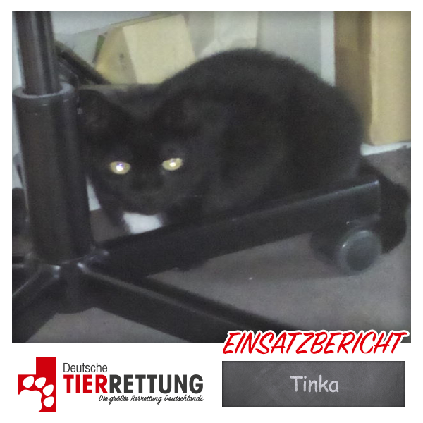 Tierrettung Einsatz: Tinka in Krefeld