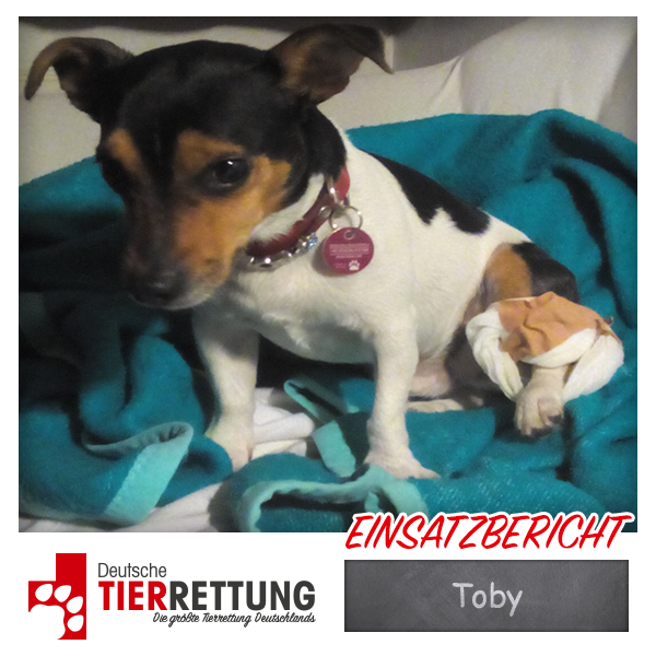 Tierrettung Einsatz: Toby in Bottrop
