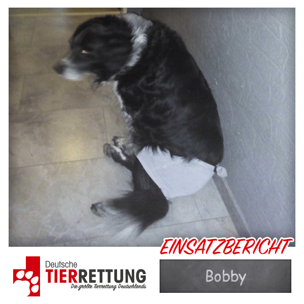 Tierrettung Einsatz: Bobby in Bottrop