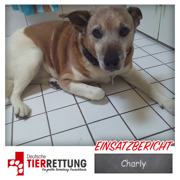 Tierrettung Einsatz: Charly in Recklinghausen