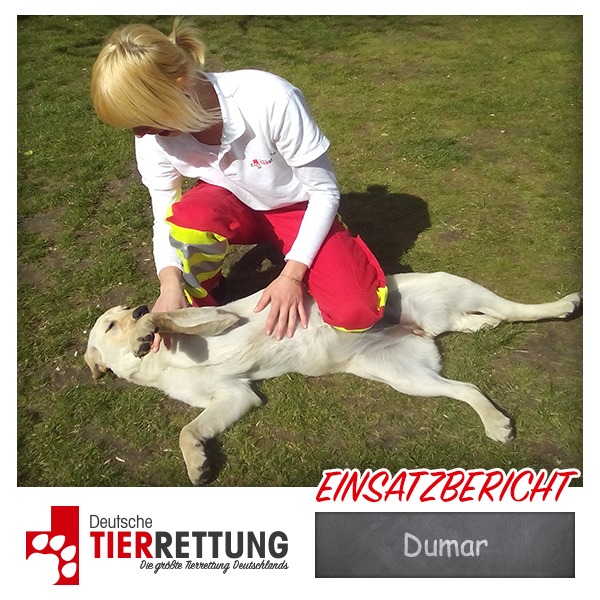 Tierrettung Einsatz: Dumar in Gelsenkirchen