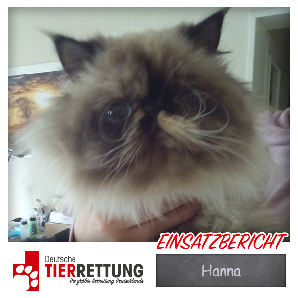 Tierrettung Einsatz: Hanna in Dortmund