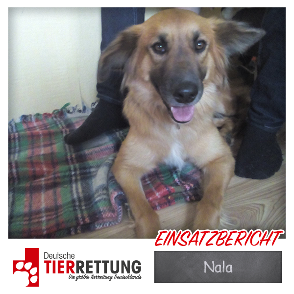 Tierrettung Einsatz: Nala in Bönen