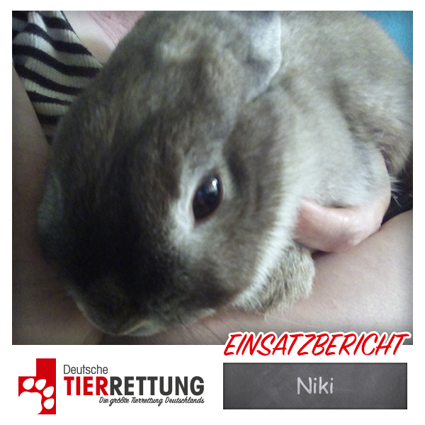 Tierrettung Einsatz: Niki in Düsseldorf