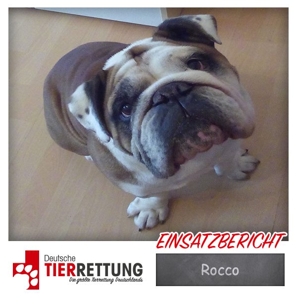 Tierrettung Einsatz: Rocco in Dortmund