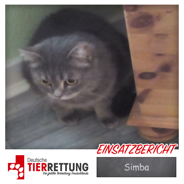Tierrettung Einsatz: Simba in Essen