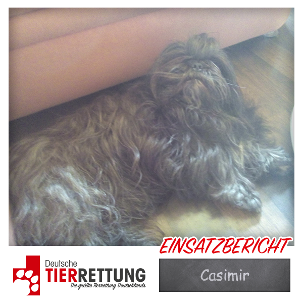 Tierrettung Einsatz: Casimir in Marl