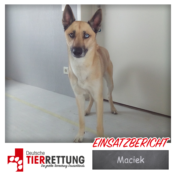 Tierrettung Einsatz: Maciek in Marl
