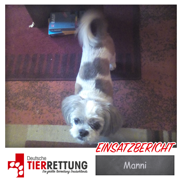 Tierrettung Einsatz: Manni in Herne
