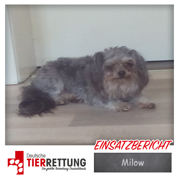Tierrettung Einsatz: Milow in Waltrop