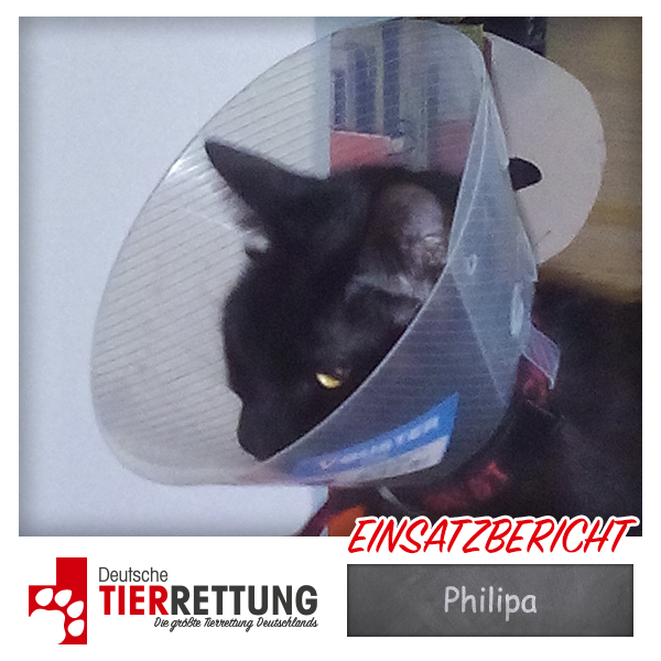 Tierrettung Einsatz: Philipa in Bochum