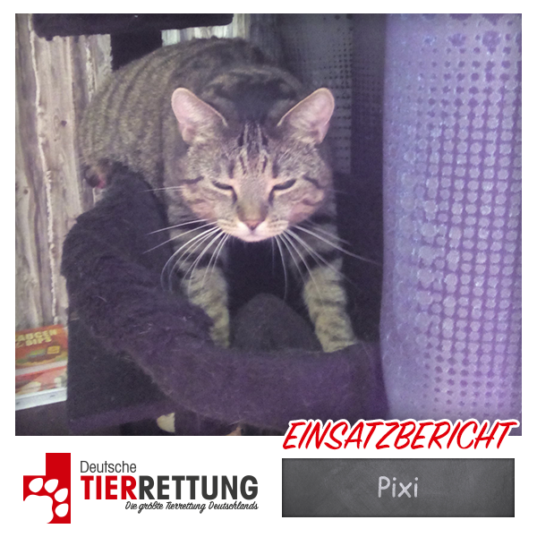Tierrettung Einsatz: Pixi in Bochum