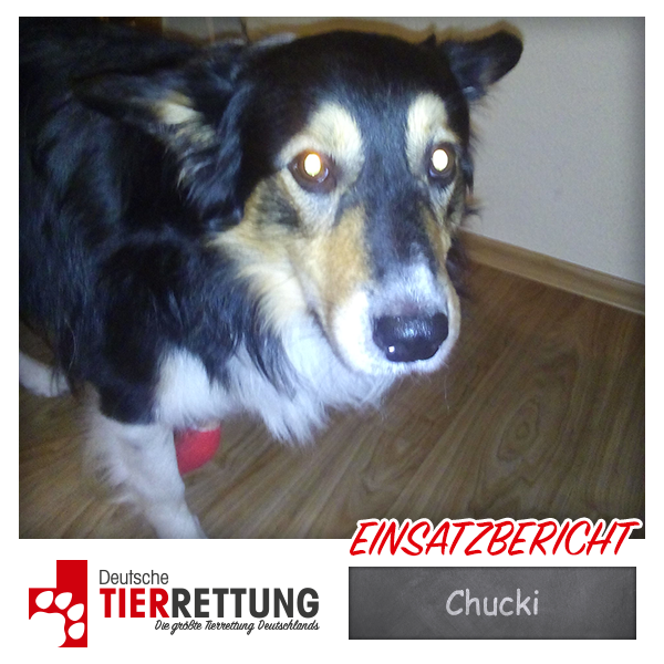 Tierrettung Einsatz: Chucki in Mönchengladbach
