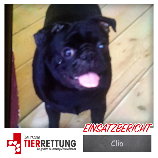 Tierrettung Einsatz: Clio in Oberhausen