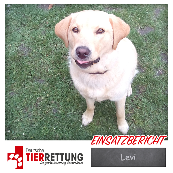 Tierrettung Einsatz: Levi in Herten
