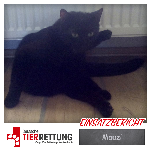 Tierrettung Einsatz: Mauzi in Mönchengladbach