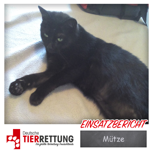 Tierrettung Einsatz: Mütze in Duisburg