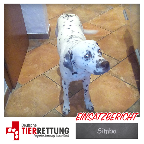 Tierrettung Einsatz: Simba in Bochum