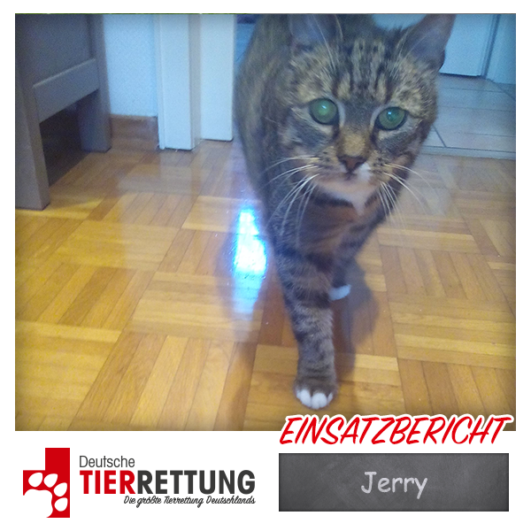 Tierrettung Einsatz: Jerry in Dorsten