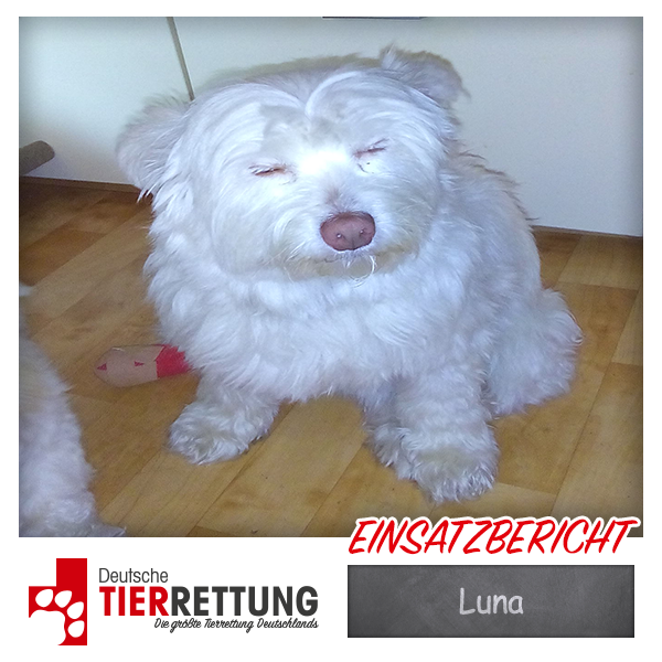 Tierrettung Einsatz: Luna in Krefeld