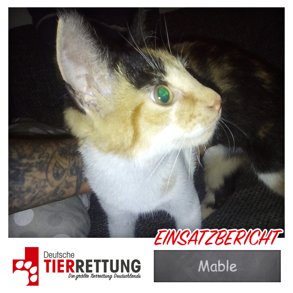 Tierrettung Einsatz: Mable in Dortmund