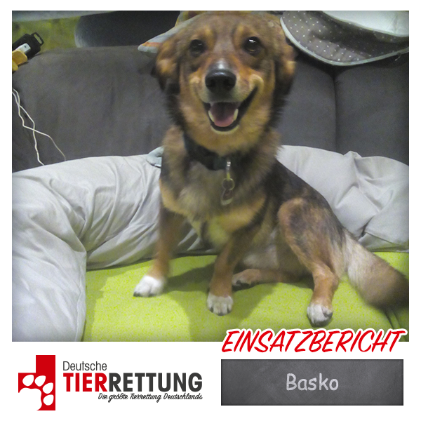 Tierrettung Einsatz: Basko in Duisburg