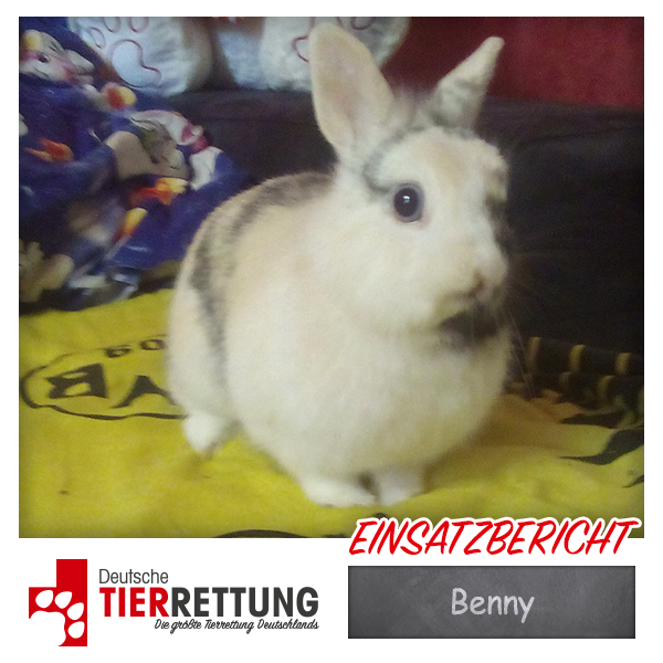 Tierrettung Einsatz: Benny in Dortmund
