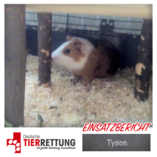 Tierrettung Einsatz: Tyson in Krefeld
