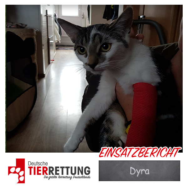 Tierrettung Einsatz: Dyra in Dortmund