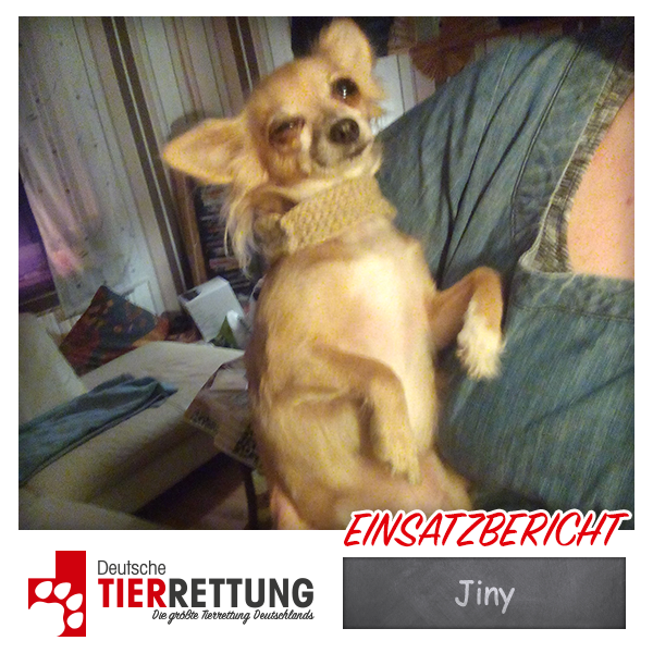 Tierrettung Einsatz: Jiny in Castrop-Rauxel