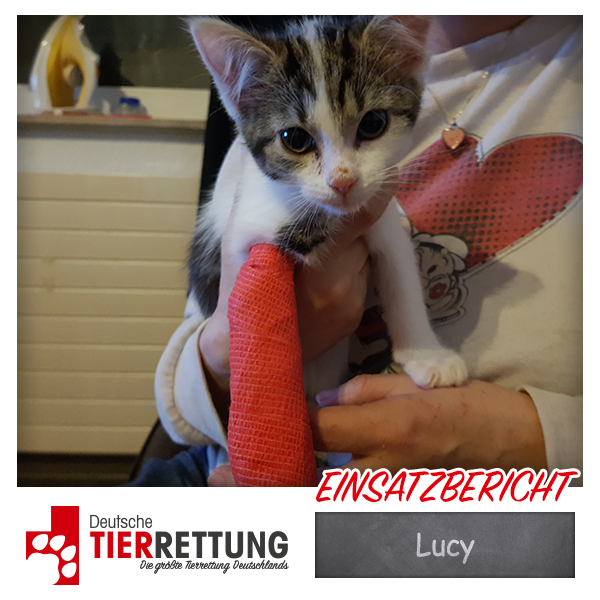 Tierrettung Einsatz: Lucy in Gelsenkirchen