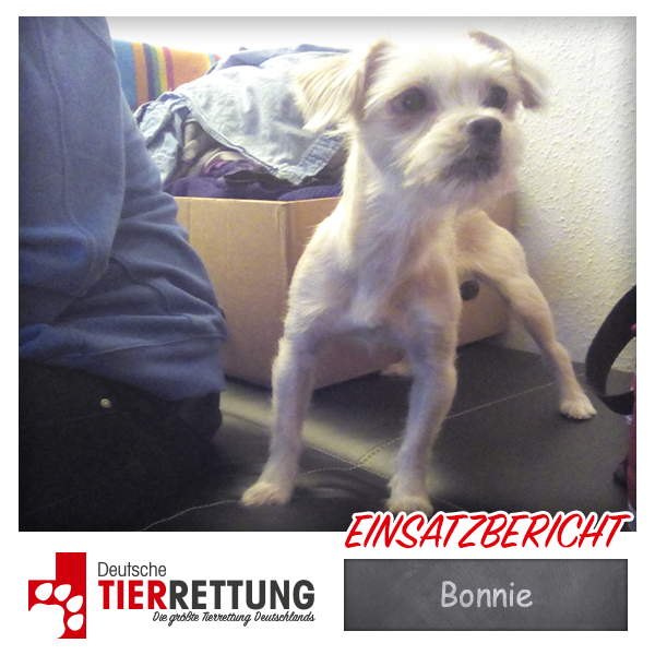 Tierrettung Einsatz: Bonnie in Essen