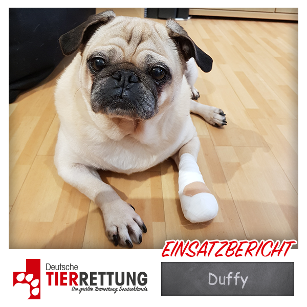 Tierrettung Einsatz: Duffy in Lünen