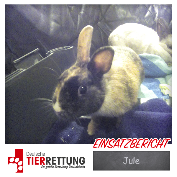 Tierrettung Einsatz: Jule in Heiligenhaus