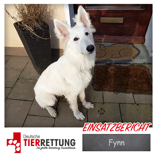 Tierrettung Einsatz: Fynn in Heiligenhaus