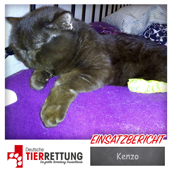 Tierrettung Einsatz: Kenzo in Dortmund