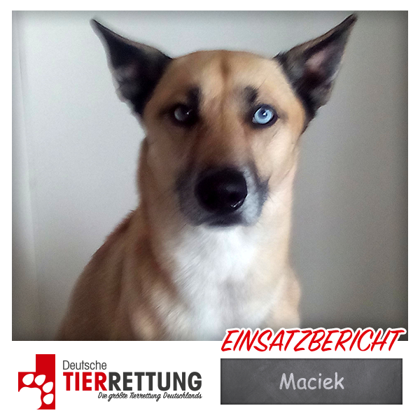 Tierrettung Einsatz: Maciek in Marl
