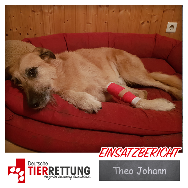 Tierrettung Einsatz: Theo Johann in Oberhausen