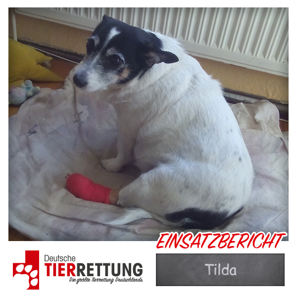 Tierrettung Einsatz: Tilda in Bochum