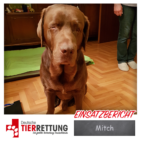 Tierrettung Einsatz: Mitch in Herne