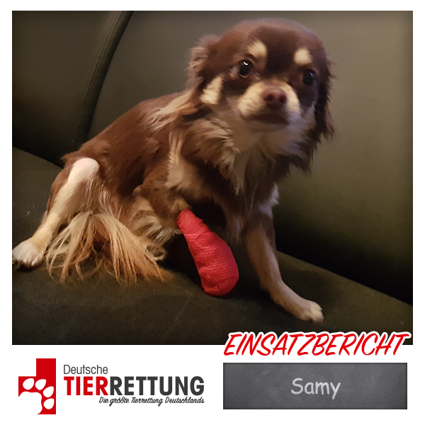 Tierrettung Einsatz: Samy in Kevelaer