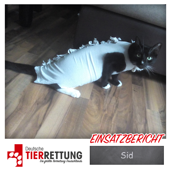 Tierrettung Einsatz: Sid in Lünen