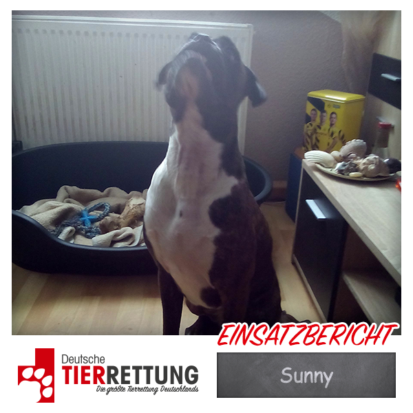 Tierrettung Einsatz: Sunny in Lünen